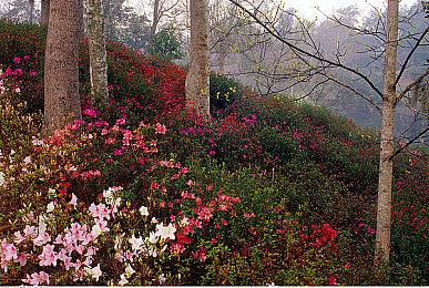 像素悬疑《都市传说解体中心》新增NS版 明年发售